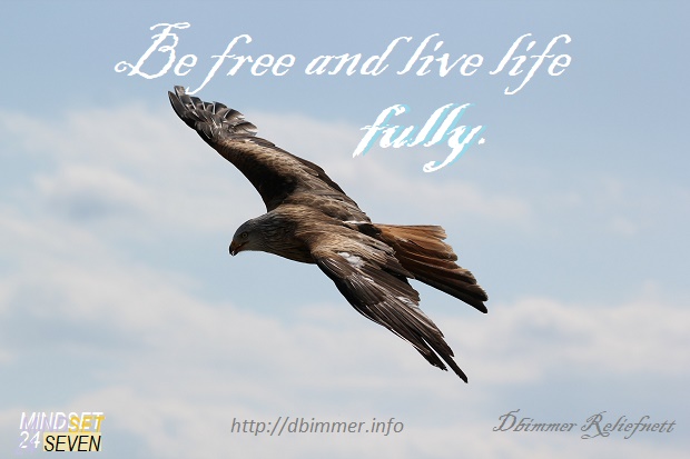 How To Be Free And Live Life Fully.